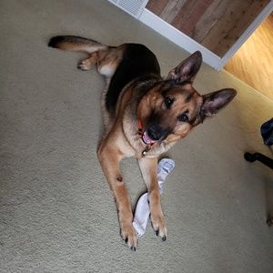 Meet your Posher, Jason